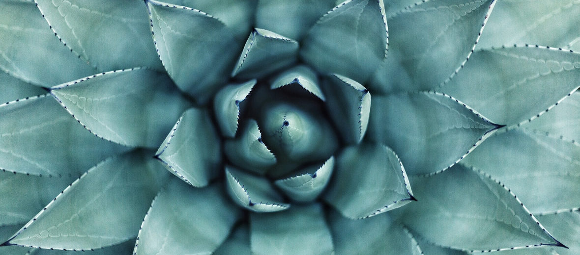 Joyas de la Naturaleza