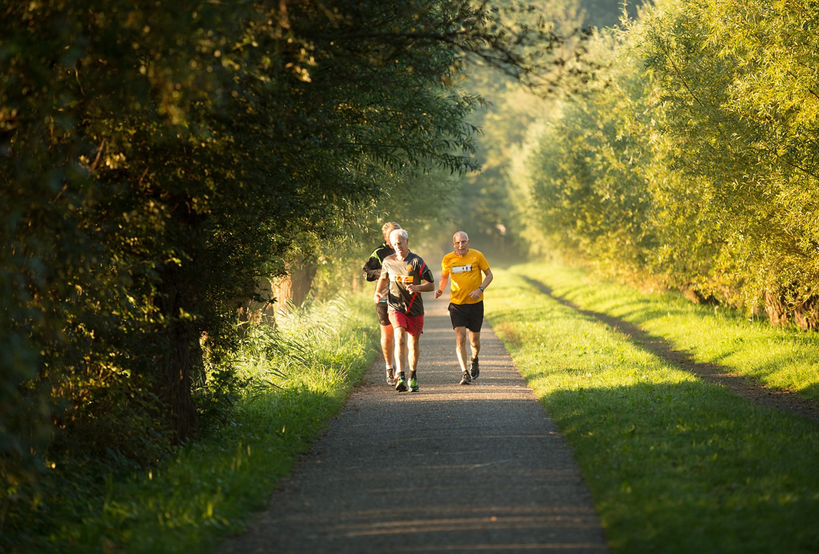 tips-para-dar-una-excelente-carrera-blog-xochitla