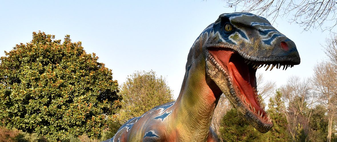 Datos curiosos sobre los dinosaurios | Blog Xochitla