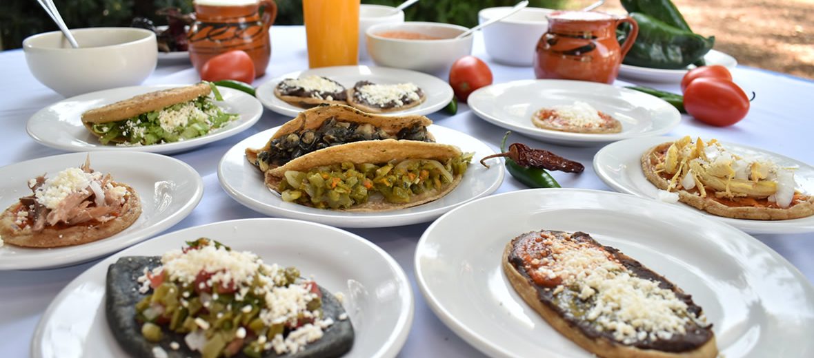 Todo lo que debes saber sobre el Festival Regional de la Garnacha y el Pulque